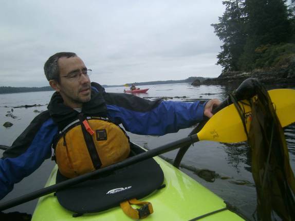 Kelps, as enormes algas na região de Tofino, na costa oeste da Vancouver Island, na Columbia Britânica.no Canadá